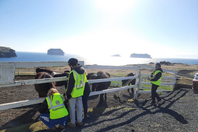 Eyjascooter volcano tour in Westman Island - Electric Scooters on Heimaey: What the 1-Hour Ride Feels Like