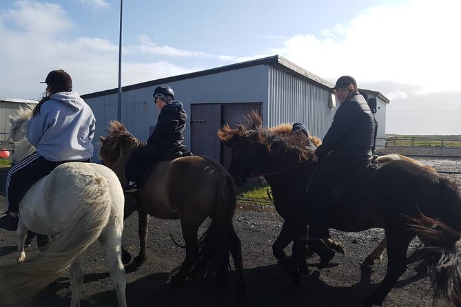 Family Horse Riding Tour in Thorlakshofn - Riding west toward Krýsuvík’s lava fields and steam