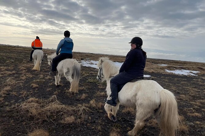 Family Horse Riding Tour in Thorlakshofn - What to bring: warm layers, real shoes, and cold-weather comfort