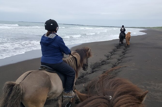 Family Horse Riding Tour in Thorlakshofn - Finding the pace: how “small-group” changes your experience