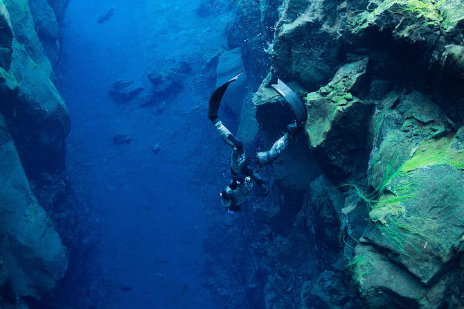 Freedive Silfra Half Day Tour - Key Things You’ll Notice Right Away