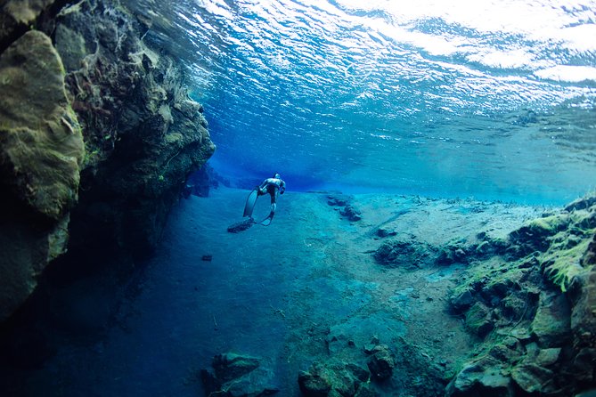 Freedive Silfra Half Day Tour - Gear, Wetsuits, and a Safety Brief That Actually Helps