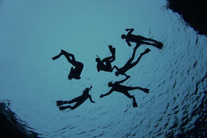 Freedive Silfra Half Day Tour - Visibility, Currents, and How to Read the Water
