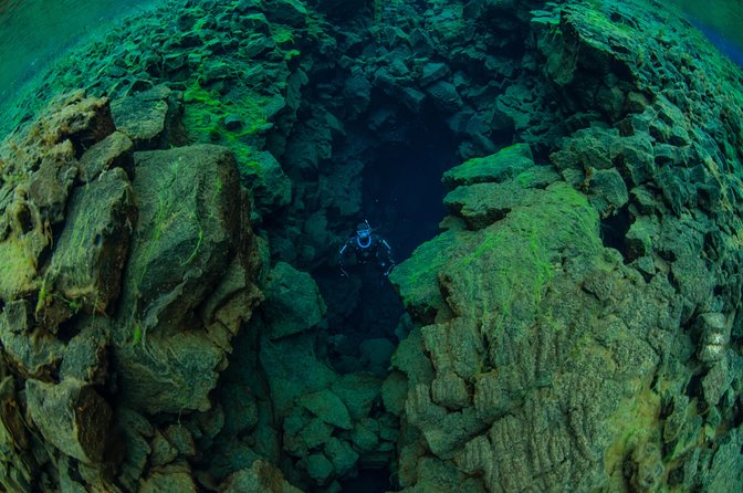 Freedive Silfra Half Day Tour - What the Tour Includes: Park Entry, Beverages, Equipment, and a Guide