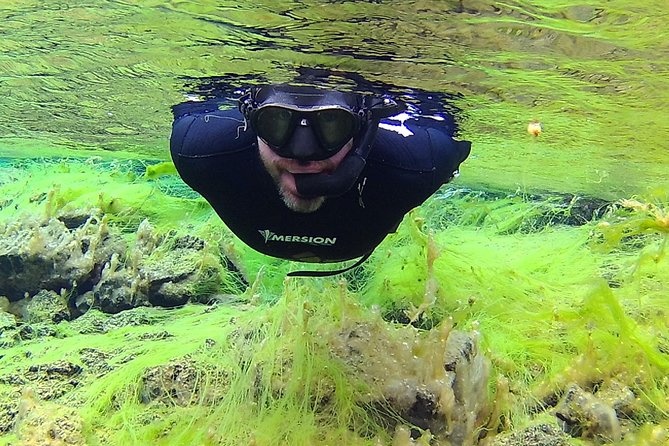 Freedive Silfra Half Day Tour - After the Water: Hot Cocoa, Warming Up, and Gear Help