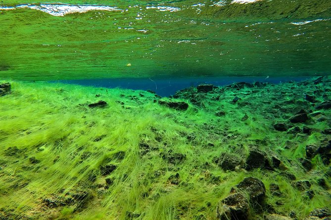 Freedive Silfra Half Day Tour - Start at Vallarvegur: Parking, the Meeting Point, and Getting Ready