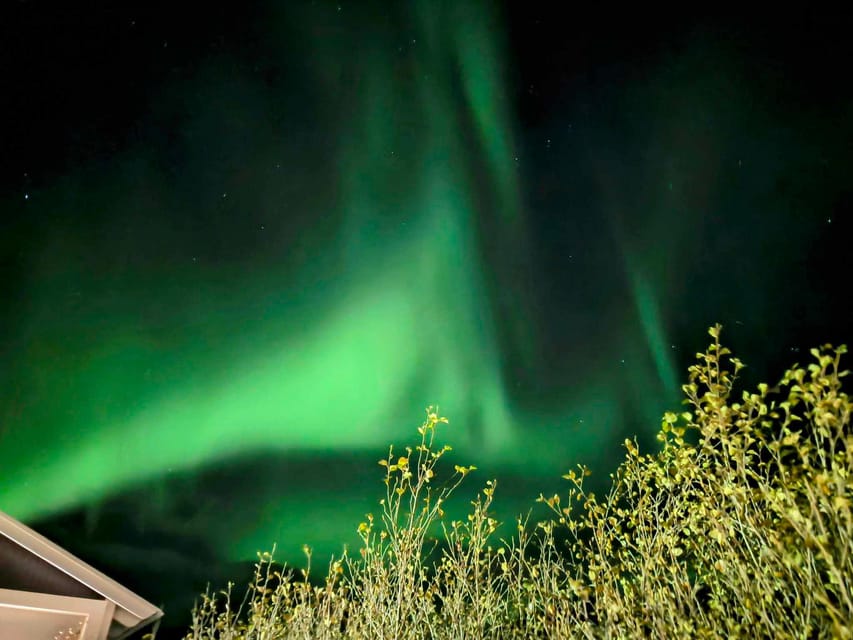 From Akureyri: Northern Lights Tour - Price and value at about $132 per person