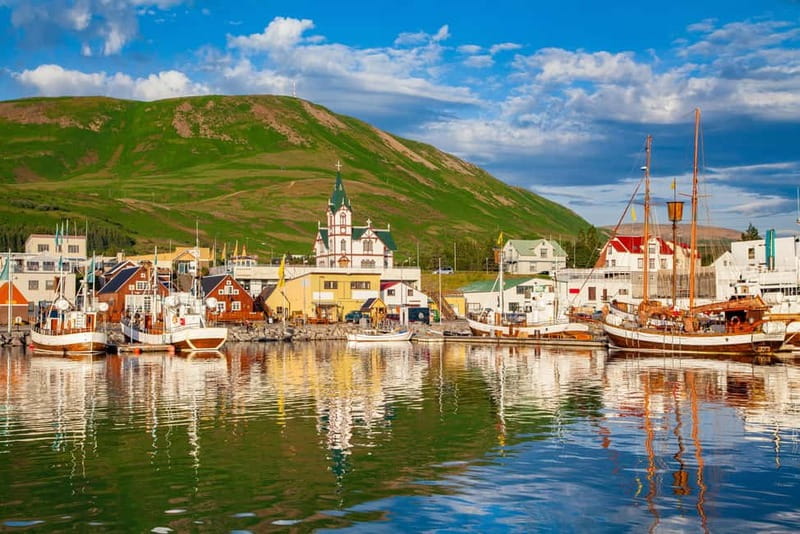 From Akureyri Port: Diamond Circle Guided Day Trip w/ Lunch - The Lake Mývatn pass and why it matters even when you do not stop long