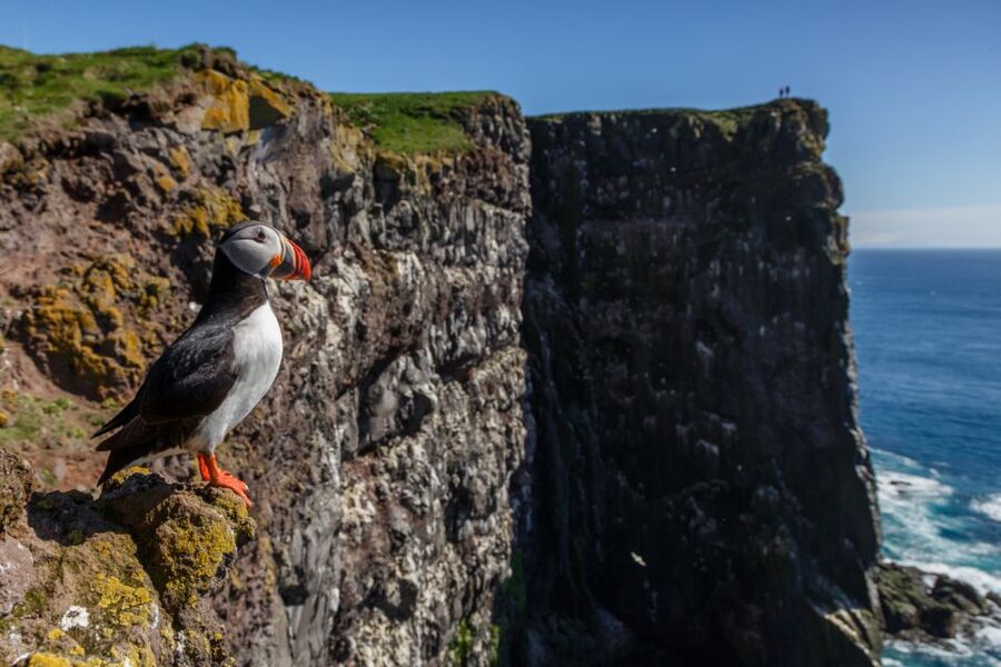 From Reykjavík: 3-Day Tour of the Wild Westfjords - Wild Westfjords: The Big Idea and the Real Value