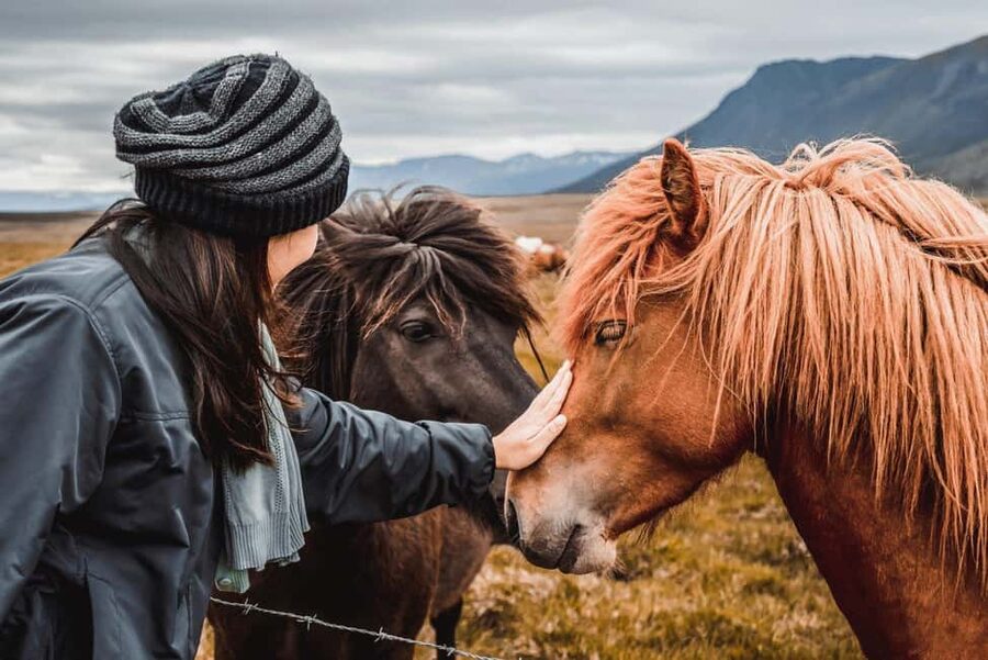 From Reykjavík: 5-Day Northern Lights Hunt & Glacier Lagoon - Key Things I’d Focus On