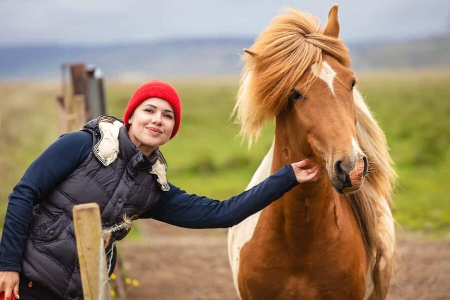 From Reykjavík: Best of Iceland 6-Day Stopover Tour - Reykjavík for five nights: the smartest way to reduce stress