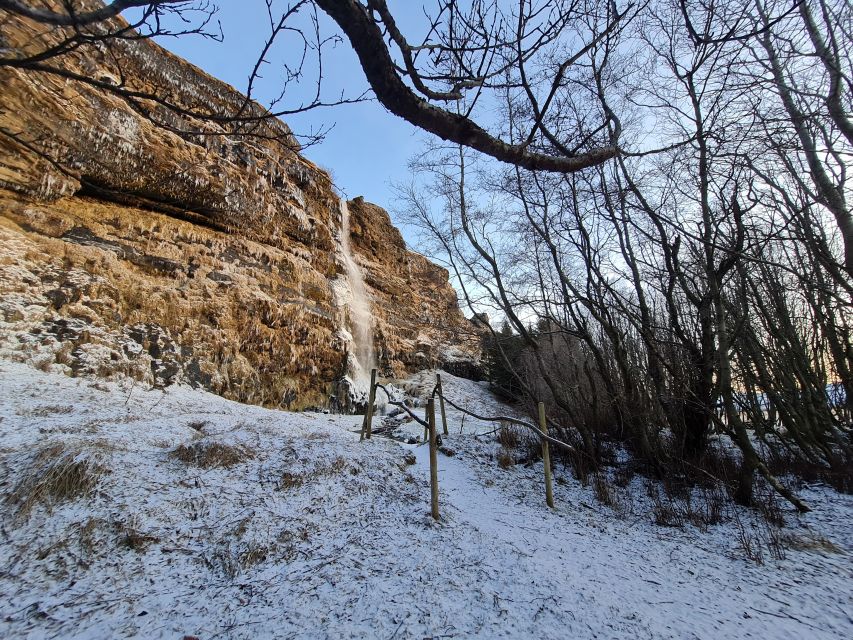 From Reykjavik: Explore the Waterfalls of the South Coast - Thorsteins Grove: Your First Waterfall Moment, Without the Crowds