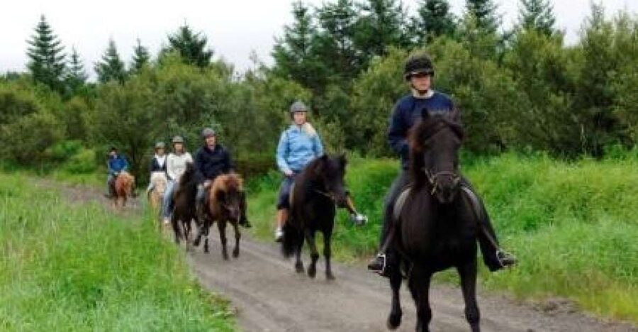 From Reykjavik: Full-Day Horse Riding & Golden Circle Tour - The morning ride at Eldhestar: what the horse experience is really like