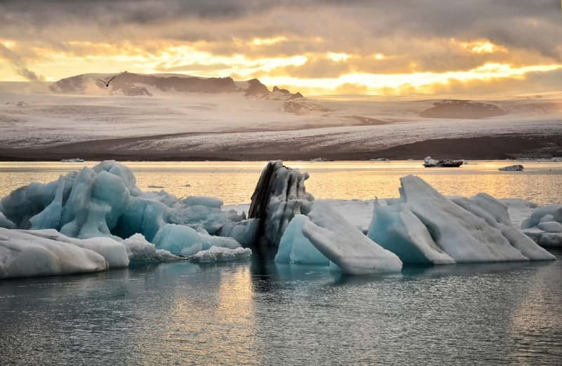 From Reykjavik: Glacier Lagoon and Fjaðrárgjúfur Canyon Tour - Pickup Timing and the Minibus Factor (Max 19)