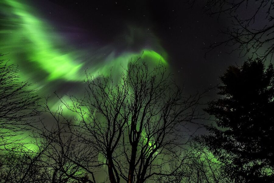 From Reykjavik: Golden Circle and Northern Lights Tour - Price and value: why this combo can beat doing it separately
