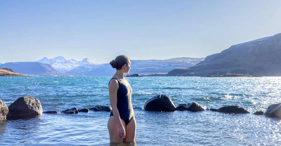 From Reykjavík: Golden Circle Route & Hvammsvik Hot Spring - Key highlights that make this day trip work
