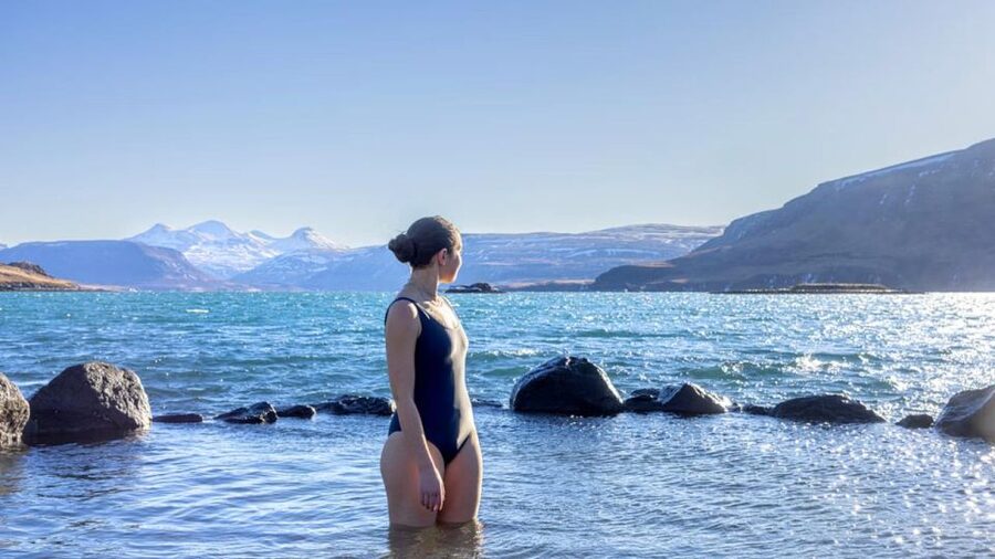 From Reykjavík: Golden Circle Route & Hvammsvik Hot Spring - Entering Reykjavik pickup and settling into the minibus