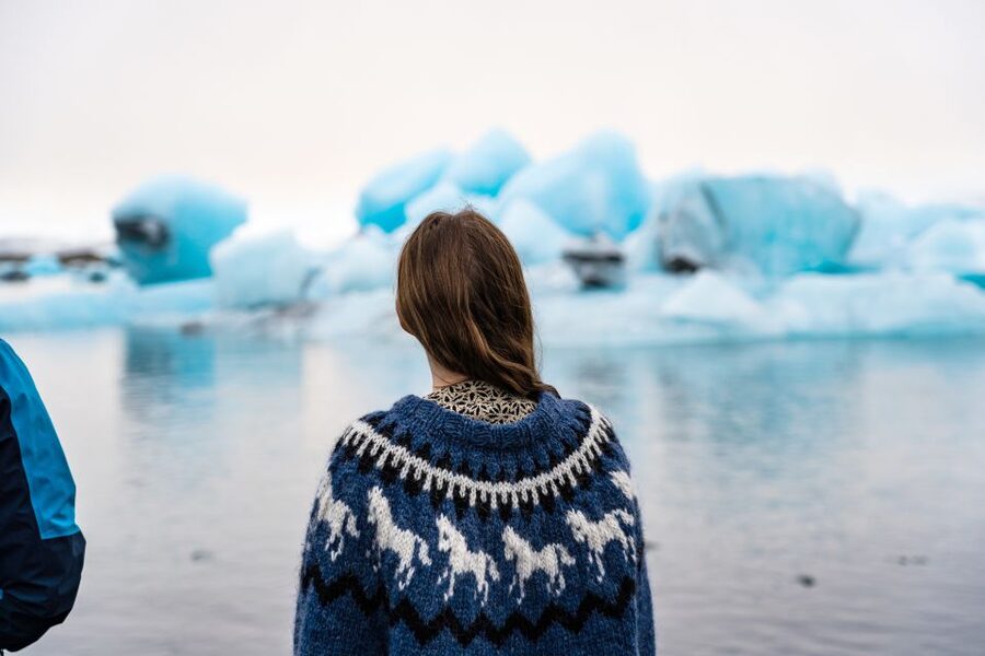 From Reykjavik: Jökulsárlón Glacier Lagoon and Diamond Beach - Skógafoss: 60 meters of power and a built-in viewpoint routine