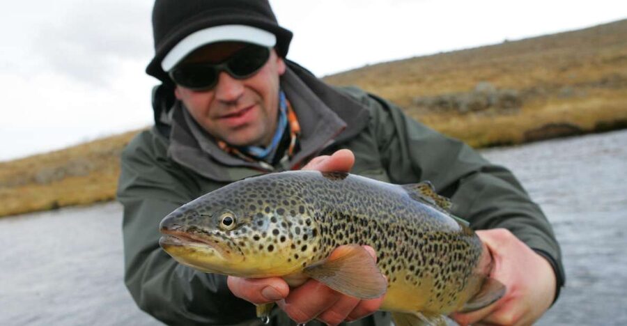 From Reykjavik: Lake and River Fishing Tour - Key highlights to look for