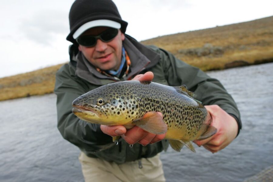 From Reykjavik: Lake and River Fishing Tour - Reykjavik pickup and the Thingvellir drive that sets the mood