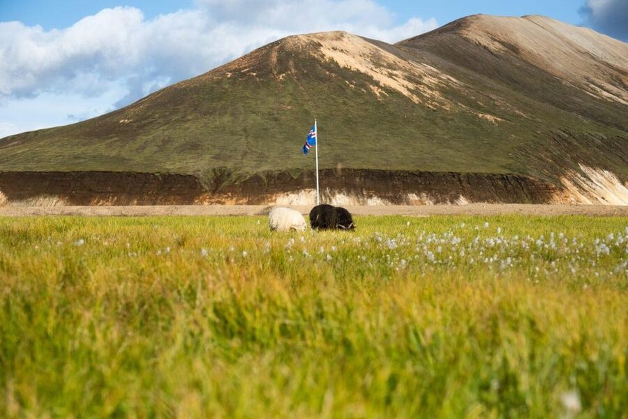 From Reykjavík: Landmannalaugar Day Hike - Gear and clothing: what you really need for this Landmannalaugar day