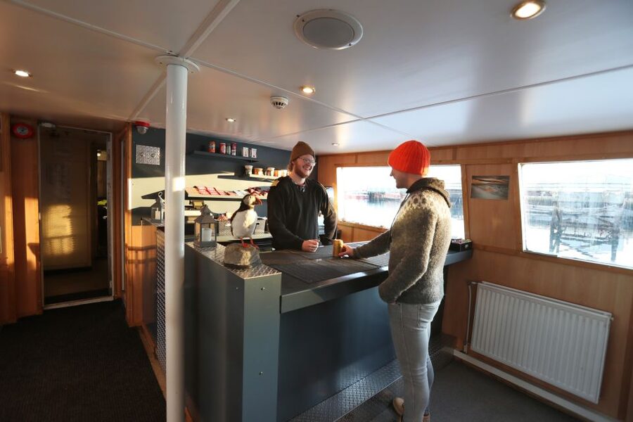 From Reykjavik: New Years Fireworks by Boat - Should you book it? My honest call