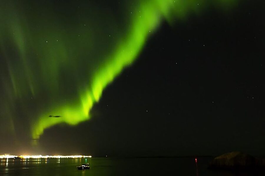 From Reykjavik: New Years Fireworks by Boat - Meeting point reality: get to the Sea Trips office early
