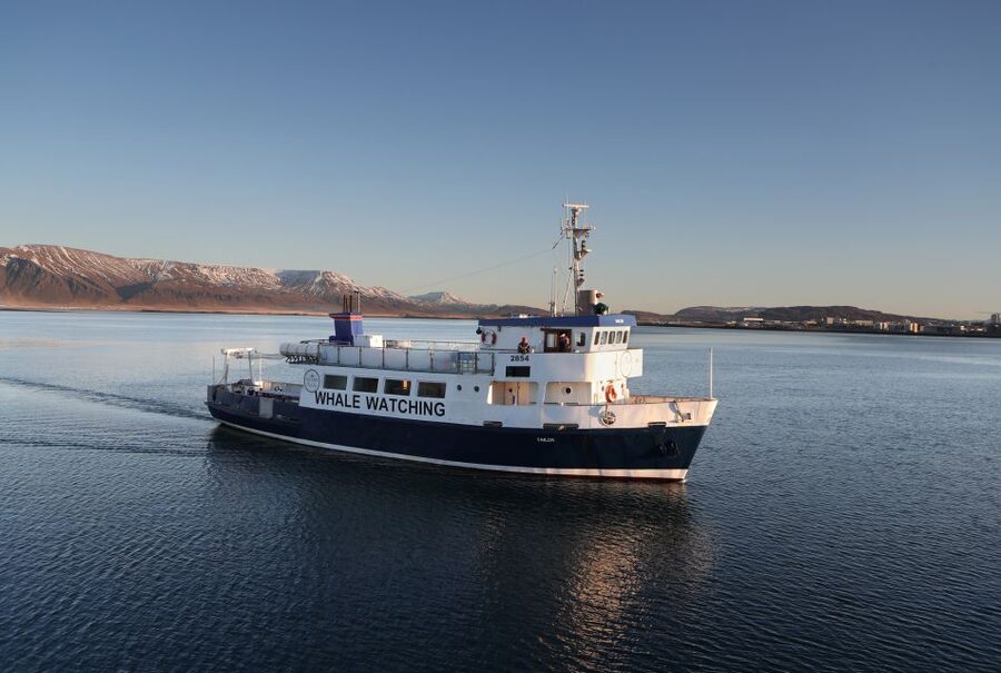 From Reykjavik: New Years Fireworks by Boat - Arctic Rose: the boat that’s built for winter views