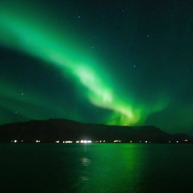 From Reykjavik: Northern Lights Boat Cruise - If the Northern Lights do not show up
