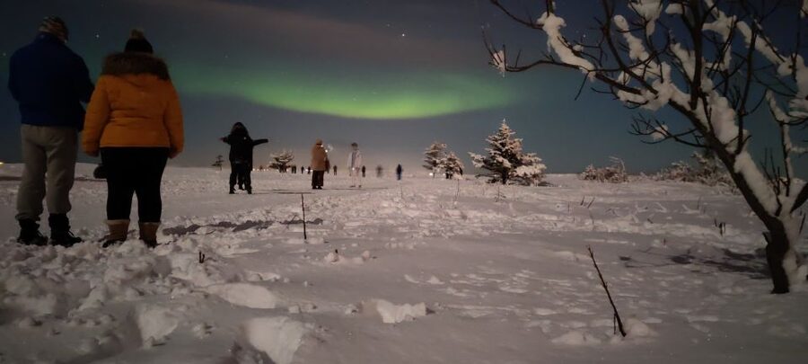 From Reykjavik: Northern Lights Chase with Expert Guide - Starting at BSÍ Bus Terminal: You Begin in the City, Not in a Pickup Confusion