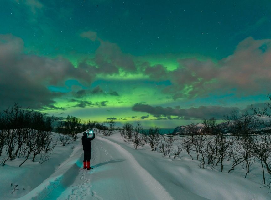 From Reykjavik: Northern Lights Chase with Expert Guide - Who Should Book This Northern Lights Chase (and Who Might Want to Skip It)