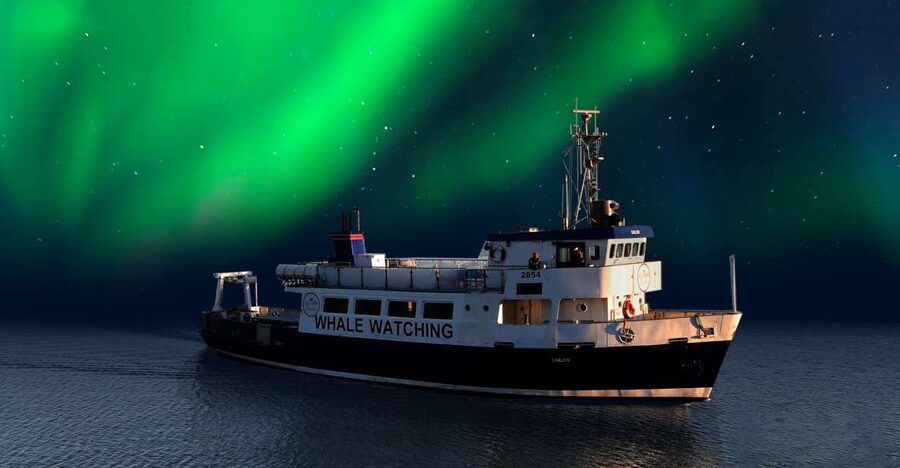 From Reykjavik: Northern Lights Sightseeing Cruise - Key Points at a Glance