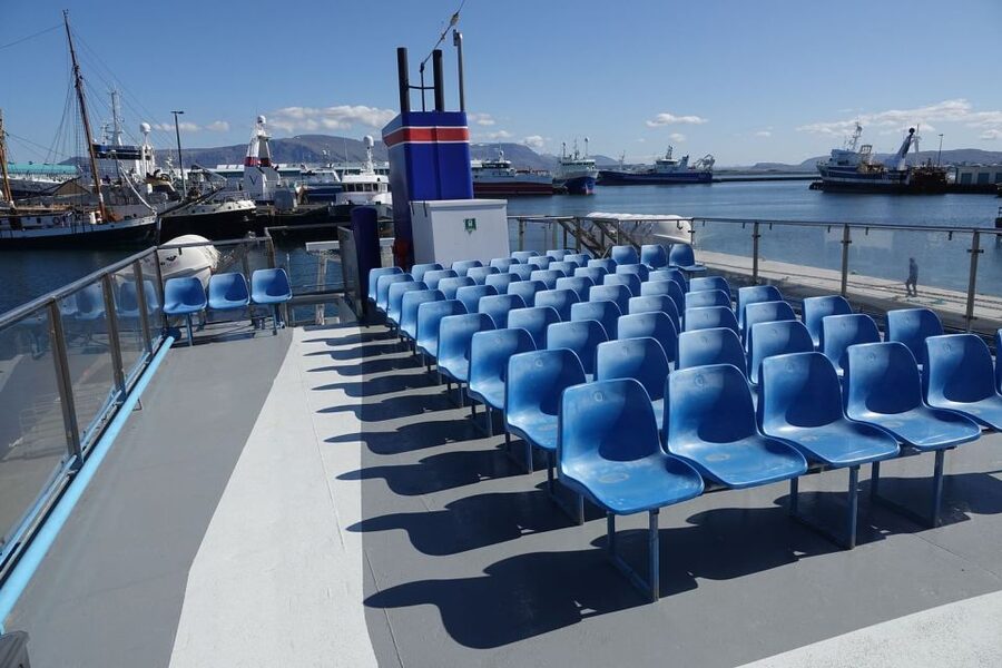 From Reykjavik: Northern Lights Sightseeing Cruise - Price and Value: Is $88 Worth It for a 2-Hour Cruise?