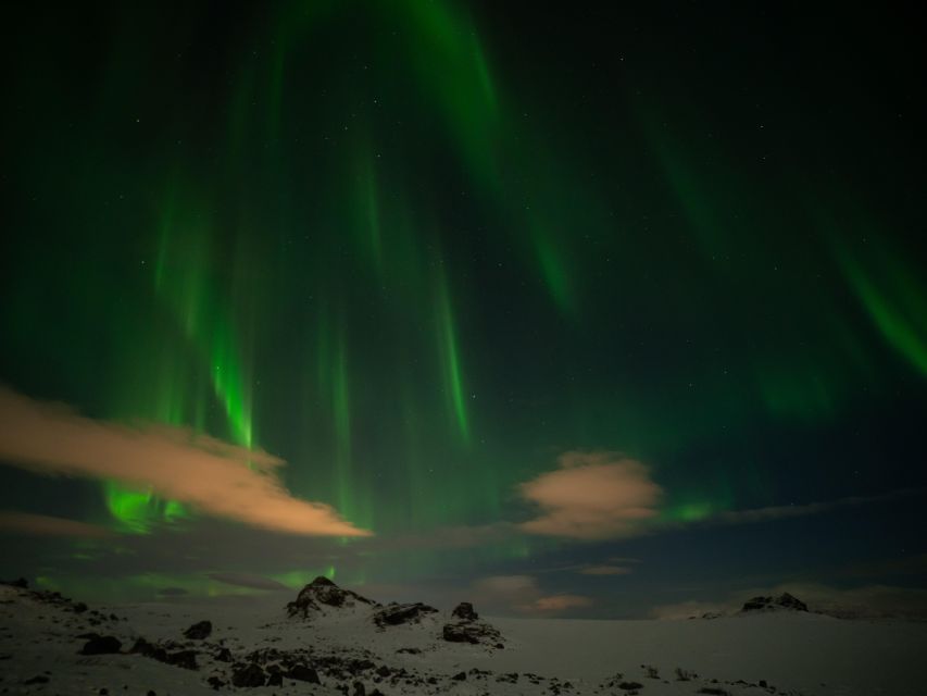 From Reykjavik: Northern Lights Tour with Hot Cocoa & Photos - Warm-Up Setup: Wool Blankets, Hot Cocoa, and Kleina