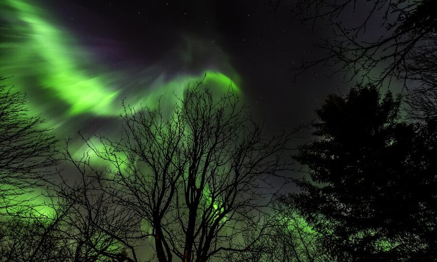 From Reykjavik: Northern Lights Tour with Lifetime Guarantee - Northern Lights from Reykjavik, without the guesswork