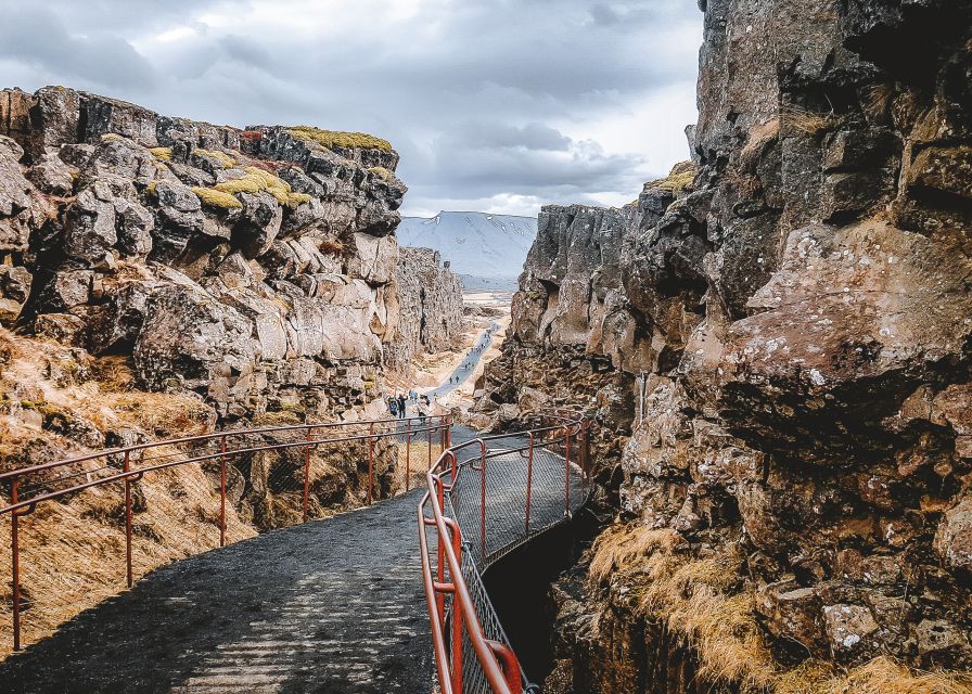 From Reykjavik: Private Golden Circle Iceland Day Tour - Friðheimar Tomato Farm: a greenhouse break that works as lunch