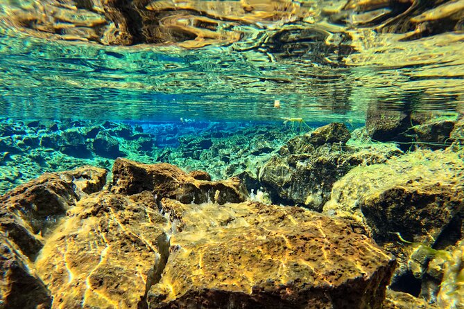 From Reykjavik- Silfra Snorkeling transfer included - GoPro Photos and Hot Chocolate After: How They Seal the Memory