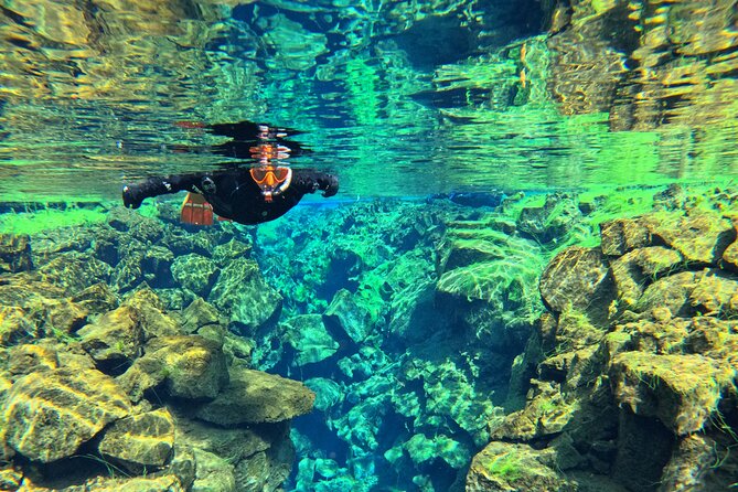 From Reykjavik- Silfra Snorkeling transfer included - Price and Value: What You Pay For, and What It Replaces