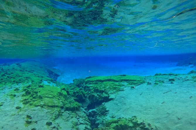 From Reykjavik- Silfra Snorkeling transfer included - How to Prepare the Morning You Snorkel Silfra