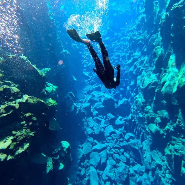 From Reykjavík: Silfra Snorkeling with free photos - Quick planning tips so your morning goes smoothly