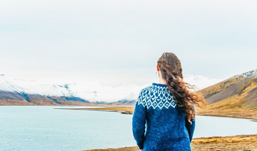 From Reykjavik: Snæfellsnes Full-Day Tour with Homemade Meal - Choosing the Right Traveler Profile for This Tour