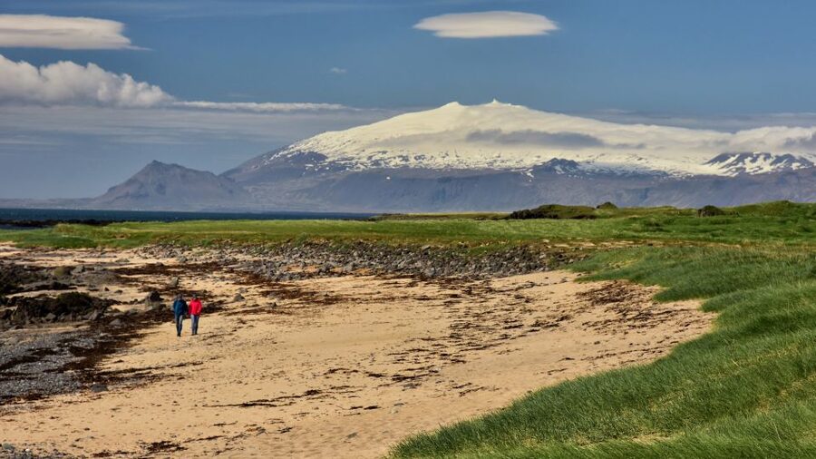 From Reykjavik: Snaefellsnes - Small Group, Lunch Included - Ytri Tunga seals: wildlife viewing that does not feel like a gimmick