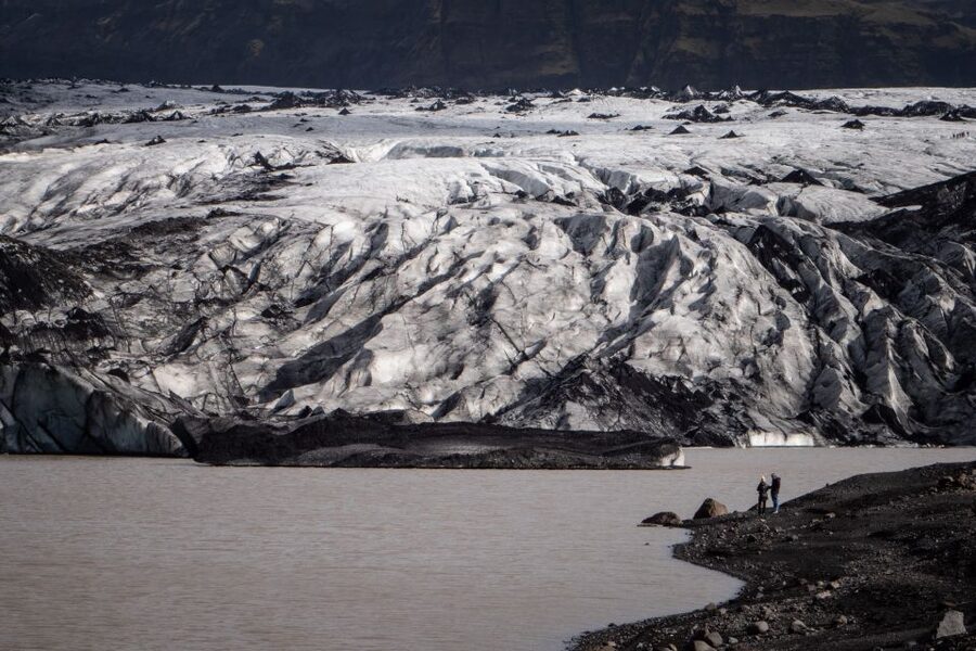 From Reykjavík: South Coast Highlights Day Tour - Seljalandsfoss and the chance to spot Gljúfrabúi