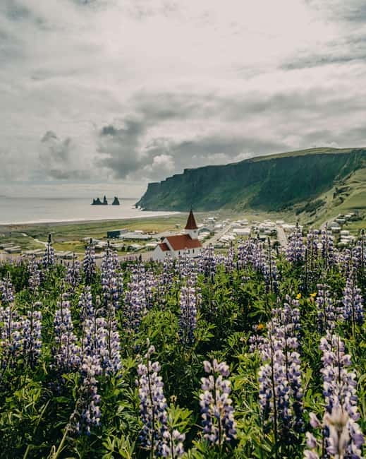 From Reykjavík: South Coast Highlights Day Tour - Meet the route: how the day flows from Hvolsvöllur to the coast