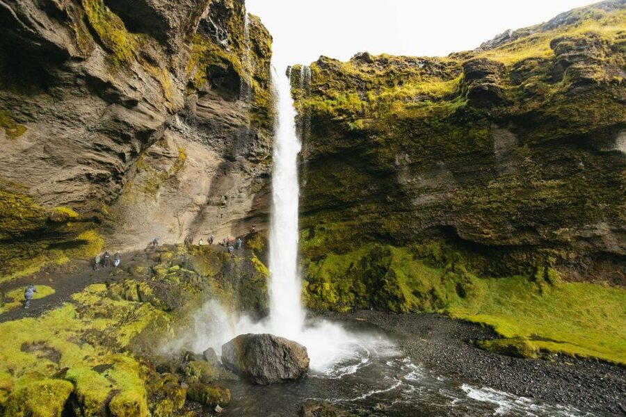 From Reykjavík: Waterfalls, Black Beach & Glacier Day Trip - Who This South Coast Tour Fits Best