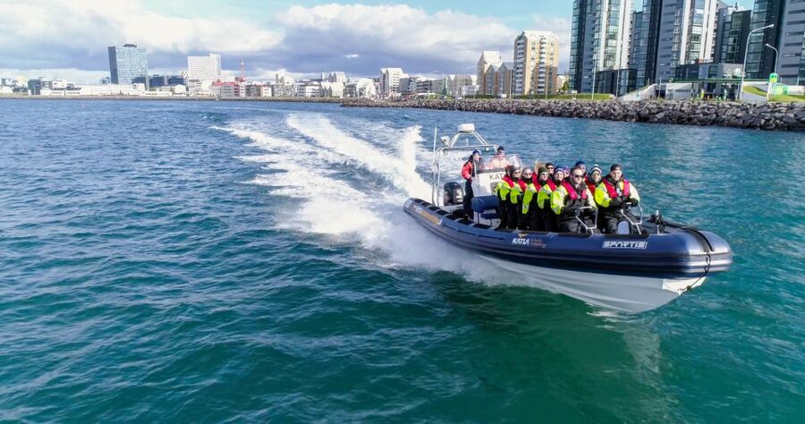 From Reykjavik: Whale Watching Tour by Speedboat - The main game: cruising Faxaflói Bay for whales, dolphins, and seals