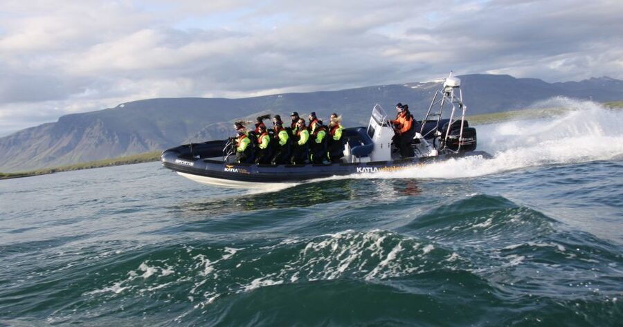 From Reykjavik: Whale Watching Tour by Speedboat - Puffins on the island approach: what you are really seeing