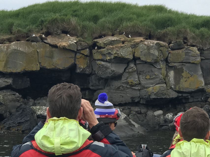 From Reykjavik: Whale Watching Tour by Speedboat - Passing the iconic Reykjavik sights without losing your wildlife day