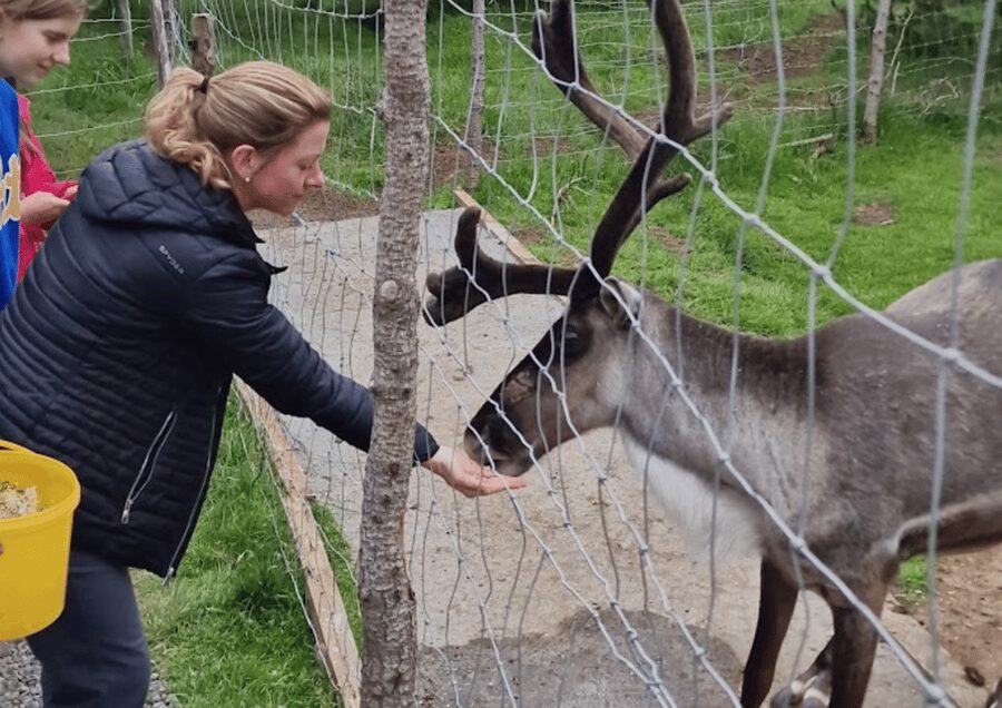 From Seyðisfjörður Port: Stuðlagil Canyon and Reindeer Park - What to pack (and what to skip)