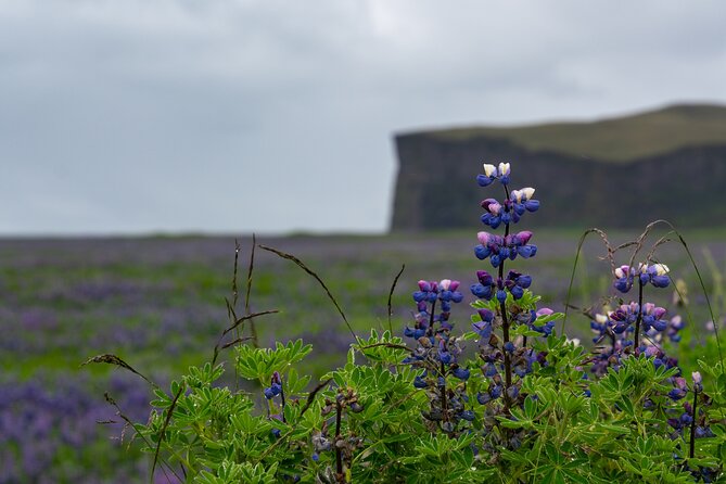 Full-Day Private Tour to Explore South Coast of Iceland - Key Highlights You’ll Actually Feel During the Day